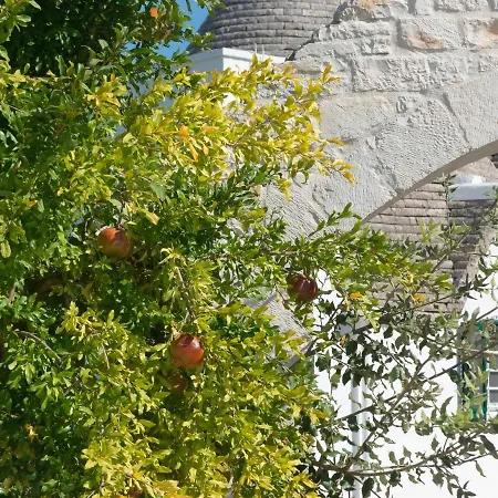 Trullo Il Focolare